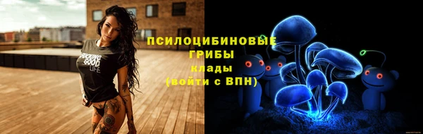 молекула духа Нея